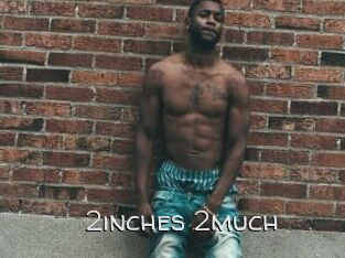 2inches_2much