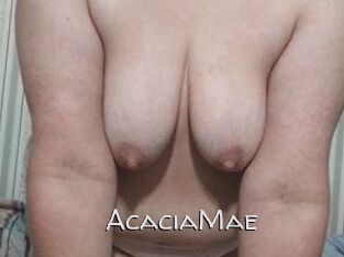 AcaciaMae