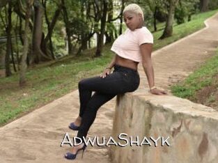 AdwuaShayk