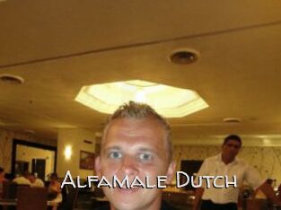 Alfamale_Dutch