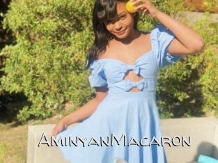 AminyanMacaron