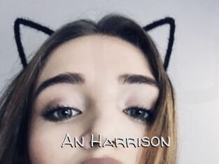 An_Harrison