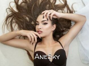 AneSky