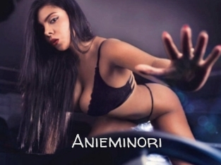 Anieminori