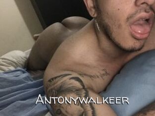 Antonywalkeer Adult dvd gold