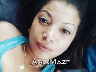 Aria_Maze