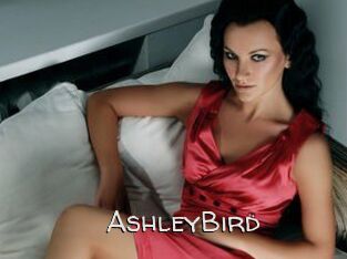 AshleyBird