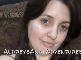 AudreysAnalAdventures