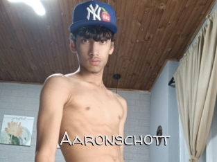 aaronschott Adult dvd gold