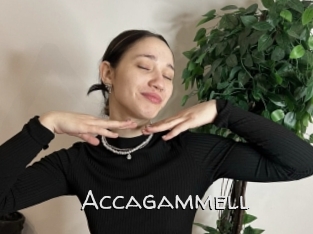 Accagammell