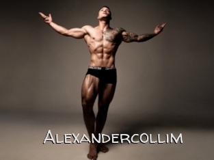 alexandercollim Adult dvd gold