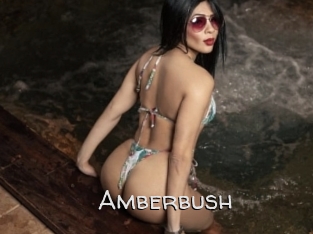 Amberbush