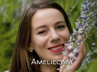 Ameliecam