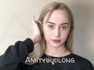 Amitybudlong