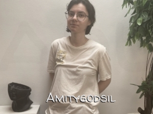 Amitygodsil