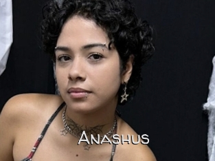 Anashus