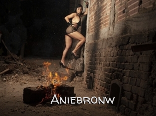 Aniebronw