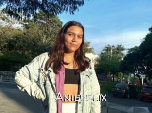 Aniefelix