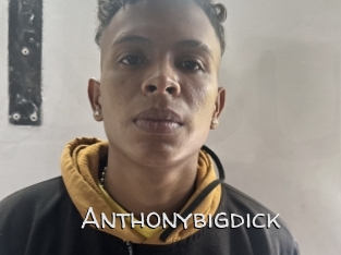 Anthonybigdick