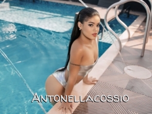 antonellacossio Adult dvd gold