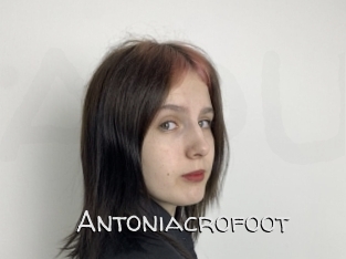 Antoniacrofoot