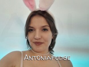 Antoniafudge