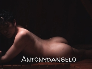 antonydangelo Adult dvd gold