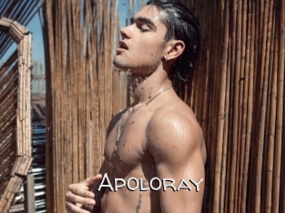apoloray Adult dvd gold