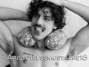 Aristotelesmustache18