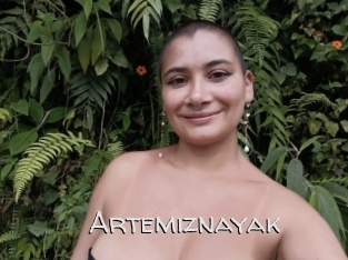 Artemiznayak