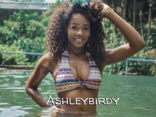 Ashleybirdy
