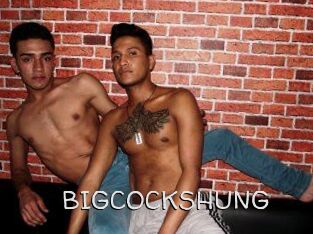 BIG_COCKS_HUNG