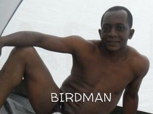 BIRDMAN Adult dvd gold