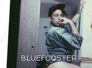BLUEFOOSTER