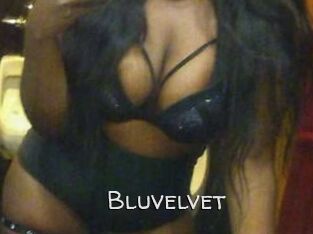 Bluvelvet