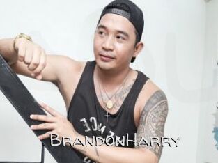 BrandonHarry