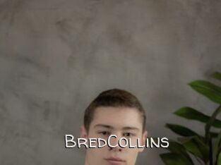 BredCollins