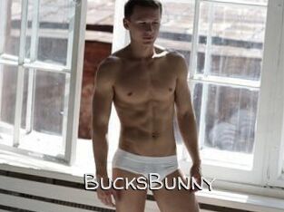 BucksBunny