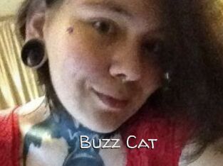Buzz_Cat