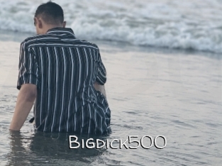 Bigdick500