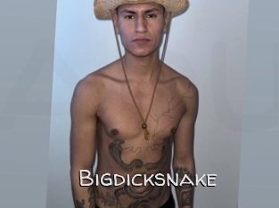 bigdicksnake Adult dvd gold