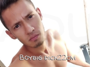 Boybig_dick22cm