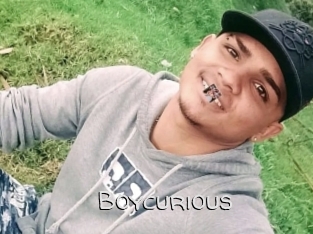 boycurious Adult dvd gold