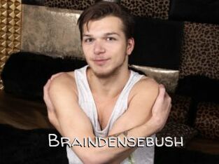 Braindensebush