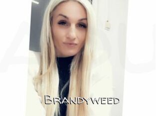 Brandyweed
