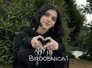 Broosnica1