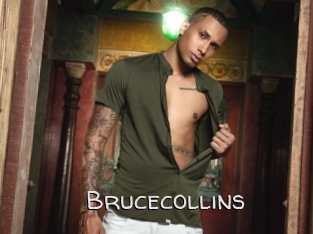 brucecollins Adult dvd gold