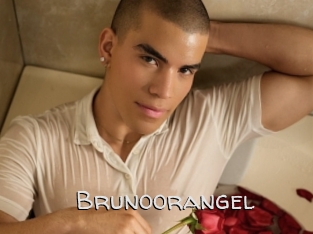 brunoorangel Adult dvd gold