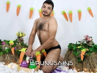 brunosains Adult dvd gold