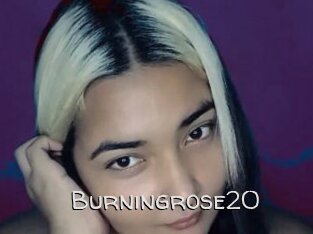 Burningrose20